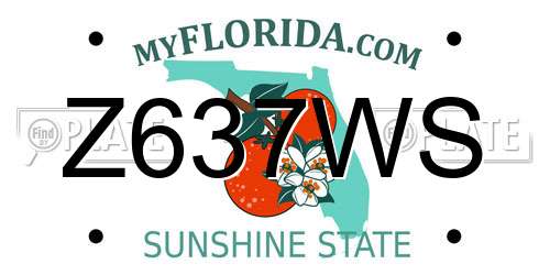 Z637WS Florida License Plate