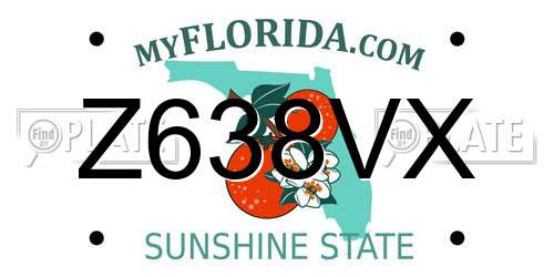 Z638VX Florida License Plate