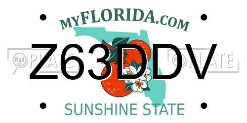 Z63DDV Florida License Plate