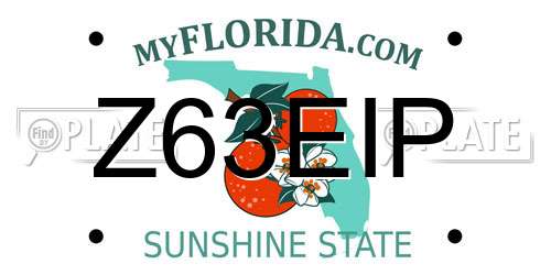 Z63EIP Florida License Plate