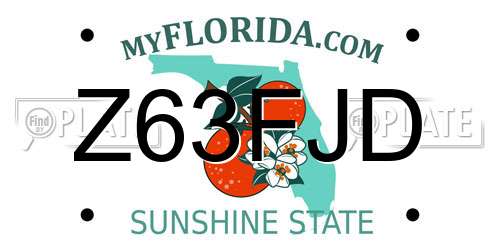 Z63FJD Florida License Plate