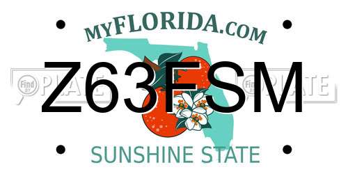 Z63FSM Florida License Plate
