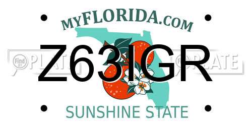 Z63IGR Florida License Plate