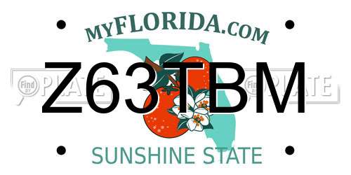Z63TBM Florida License Plate