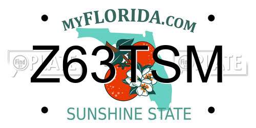 Z63TSM Florida License Plate