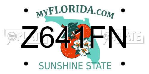 Z641FN Florida License Plate