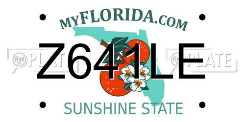 Z641LE Florida License Plate