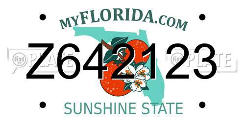 Z642123 Florida License Plate
