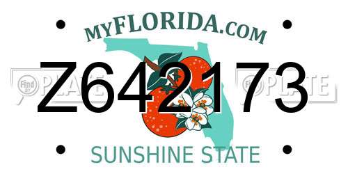 Z642173 Florida License Plate