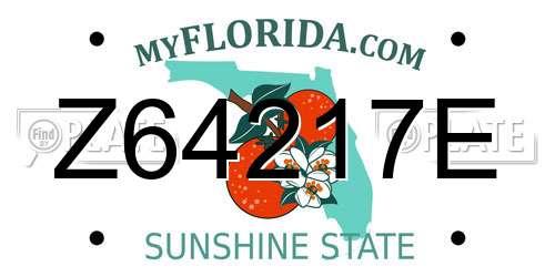 Z64217E Florida License Plate