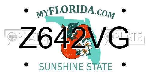 Z642VG Florida License Plate