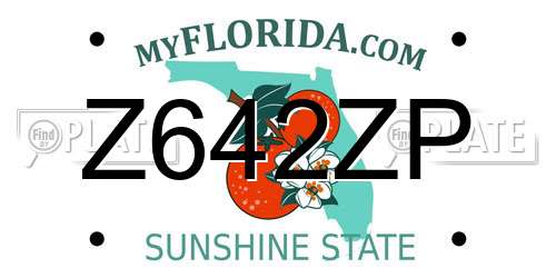 Z642ZP Florida License Plate