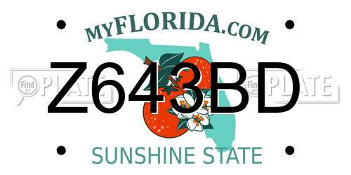 Z643BD Florida License Plate