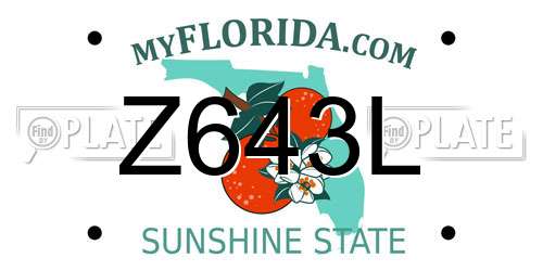 Z643L Florida License Plate