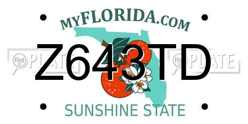 Z643TD Florida License Plate