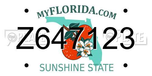 Z647123 Florida License Plate