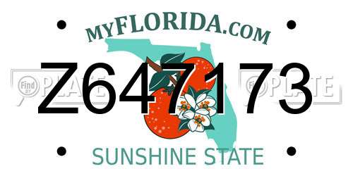 Z647173 Florida License Plate