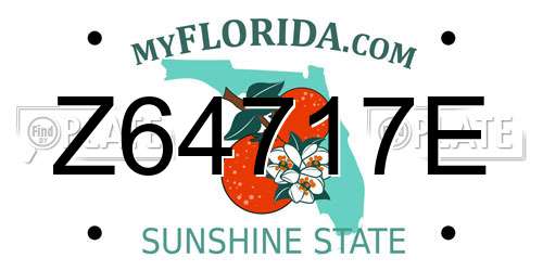Z64717E Florida License Plate