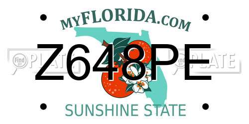 Z648PE Florida License Plate