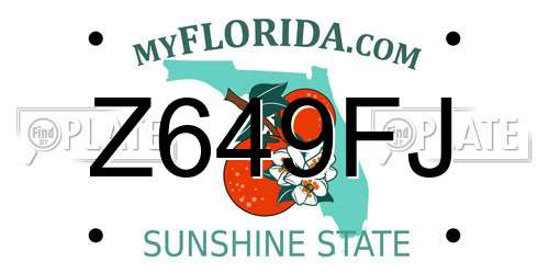 Z649FJ Florida License Plate