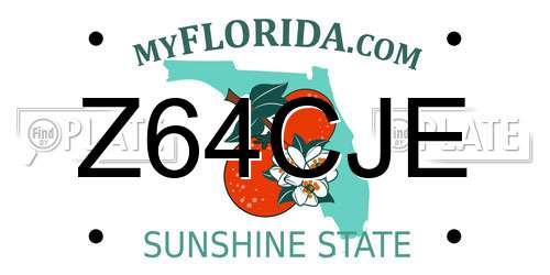 Z64CJE Florida License Plate