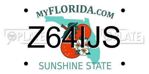 Z64IJS Florida License Plate