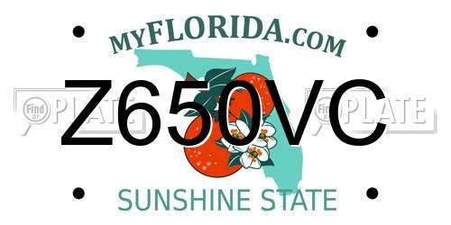 Z650VC Florida License Plate