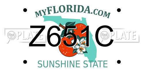 Z651C Florida License Plate