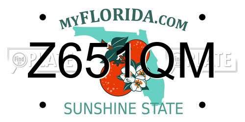 Z651QM Florida License Plate