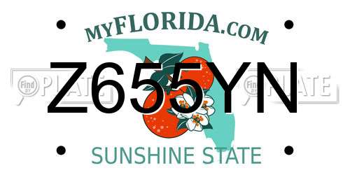 Z655YN Florida License Plate