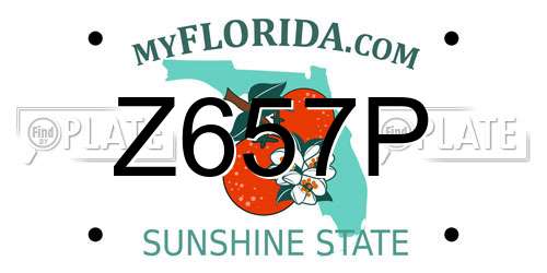 Z657P Florida License Plate