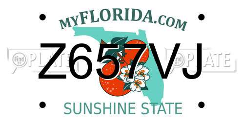 Z657VJ Florida License Plate