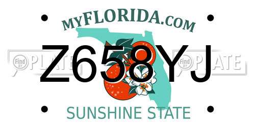 Z658YJ Florida License Plate