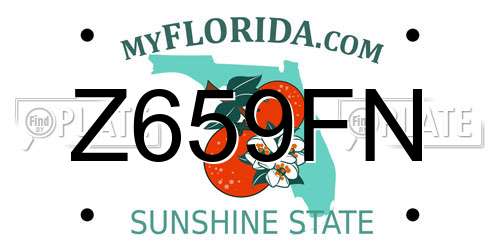 Z659FN Florida License Plate