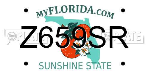Z659SR Florida License Plate