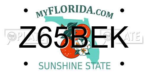 Z65BEK Florida License Plate