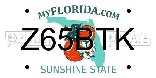Z65BTK Florida License Plate