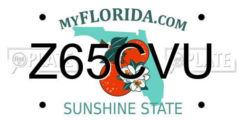 Z65CVU Florida License Plate