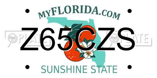 Z65CZS Florida License Plate
