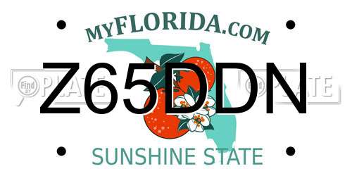 Z65DDN Florida License Plate