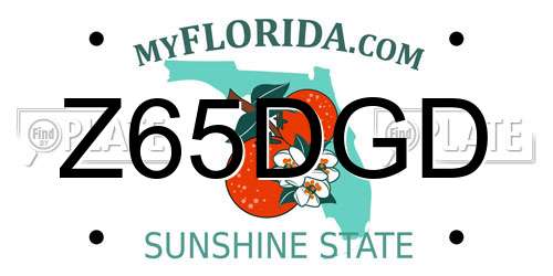 Z65DGD Florida License Plate