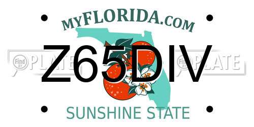 Z65DIV Florida License Plate
