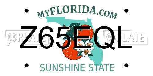 Z65EQL Florida License Plate