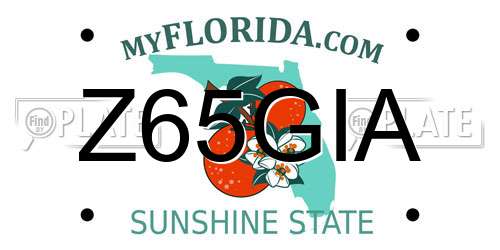 Z65GIA Florida License Plate