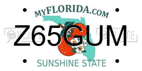 Z65GUM Florida License Plate
