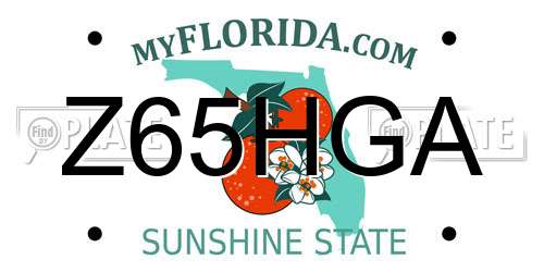 Z65HGA Florida License Plate