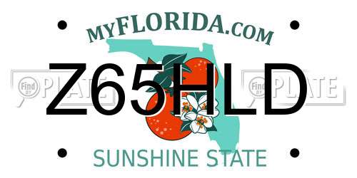 Z65HLD Florida License Plate
