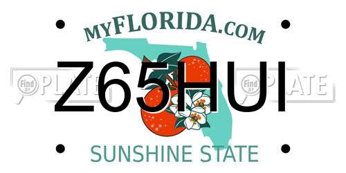 Z65HUI Florida License Plate