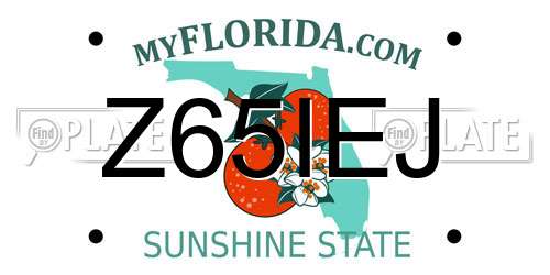 Z65IEJ Florida License Plate