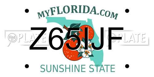 Z65IJF Florida License Plate